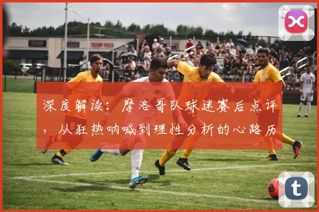 深度解读：摩洛哥队球迷赛后点评，从狂热呐喊到理性分析的心路历程