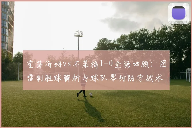 霍芬海姆vs不莱梅1-0全场回顾：图雷制胜球解析与球队零封防守战术详解