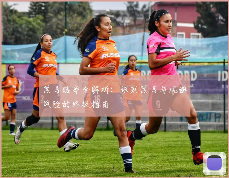 黑马赔率全解析：识别黑马与规避风险的终极指南